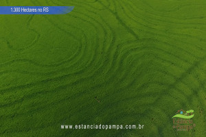 Criado em galpão-Os Serranos [VDownloader].00_01_31_18.Quadro028_066c7b45a9a6b8883cf22871100ecd36e687f337.jpg